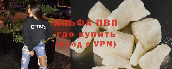 индика Зеленодольск
