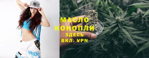 ПСИЛОЦИБИНОВЫЕ ГРИБЫ Инсар