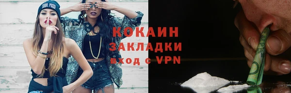 прущие грибы Иннополис