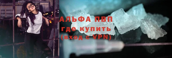 прущие грибы Иннополис