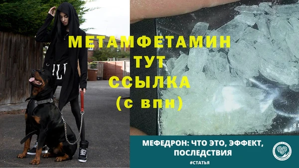 ПСИЛОЦИБИНОВЫЕ ГРИБЫ Инсар