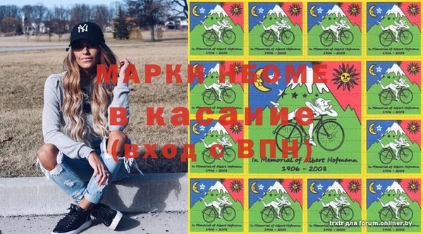 индика Зеленодольск