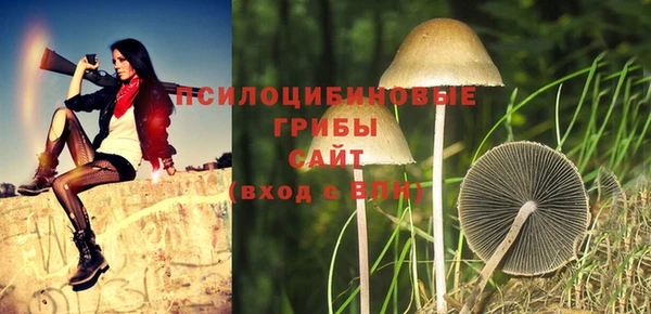 индика Зеленодольск