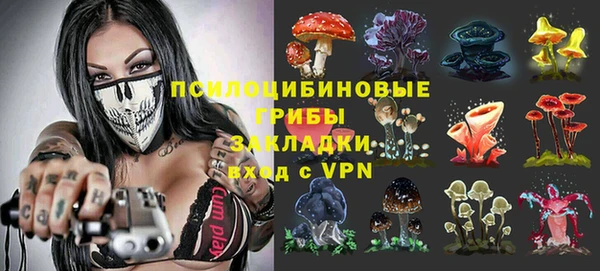 дмт Заводоуковск