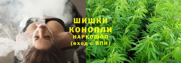 индика Зеленодольск