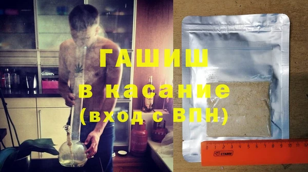 индика Зеленодольск