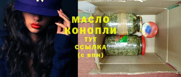 индика Зеленодольск