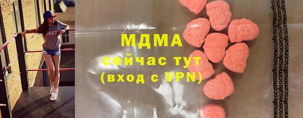 индика Зеленодольск