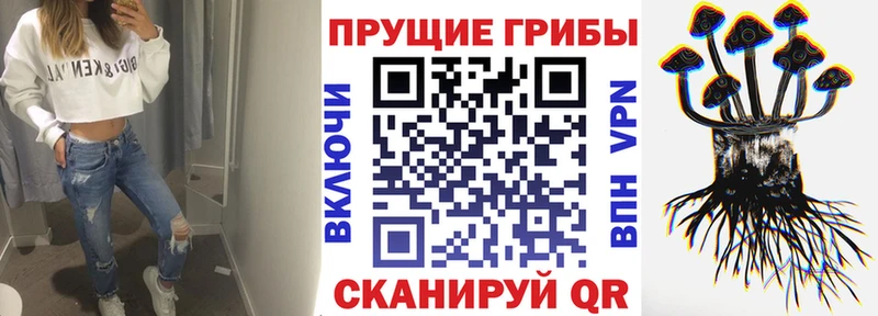 Галлюциногенные грибы Psilocybine cubensis  Рассказово 