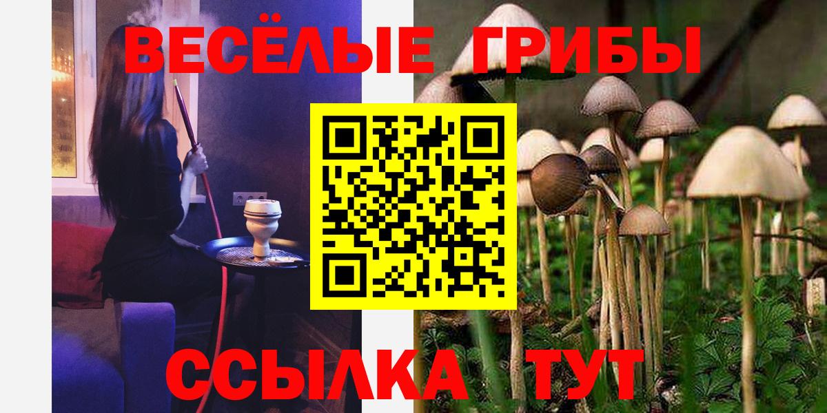 даркнет сайт  Псилоцибиновые грибы GOLDEN TEACHER  Псилоцибиновые грибы ЛСД  Вход с VPN  Рассказово 