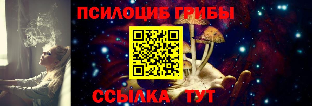 Псилоцибиновые грибы Psilocybine cubensis Рассказово
